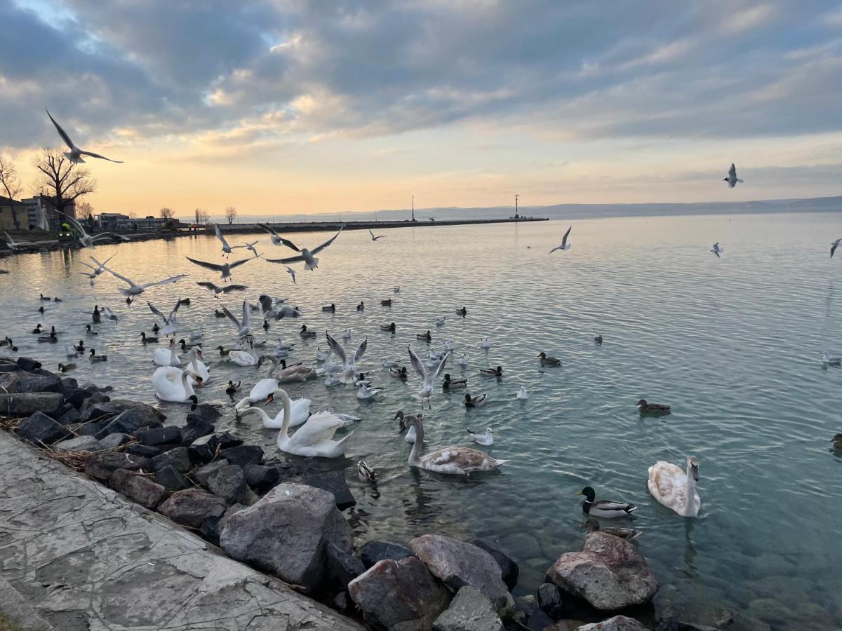 Dorina Wellness Apartman Siofok Dış mekan fotoğraf